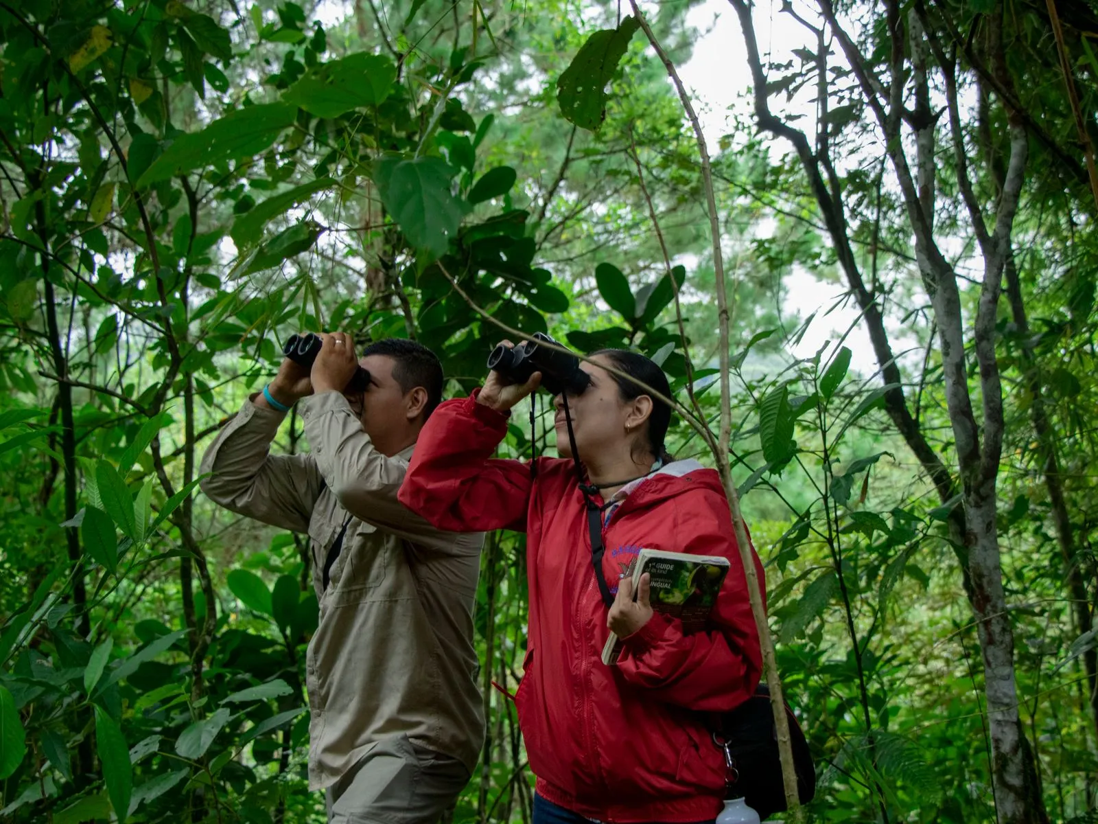 Dos personas observando aves con binoculares en el bosque