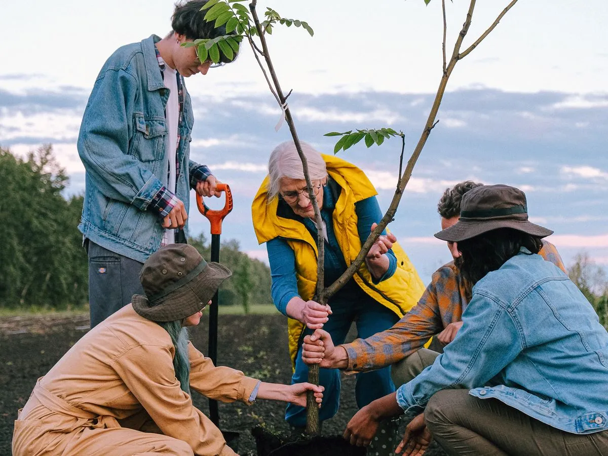 Personas de la comunidad sembrando un árbol juntas